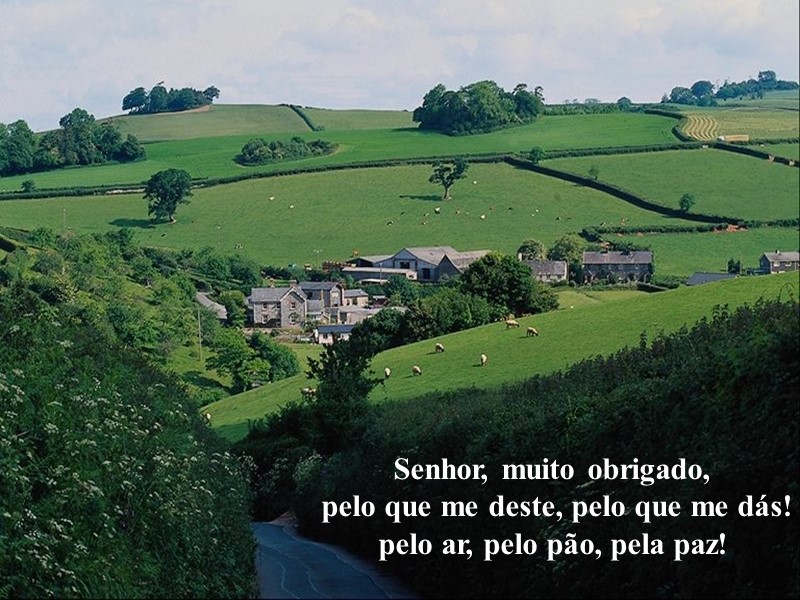 Senhor, muito obrigado,  pelo que me deste, pelo que me dás! pelo ar,